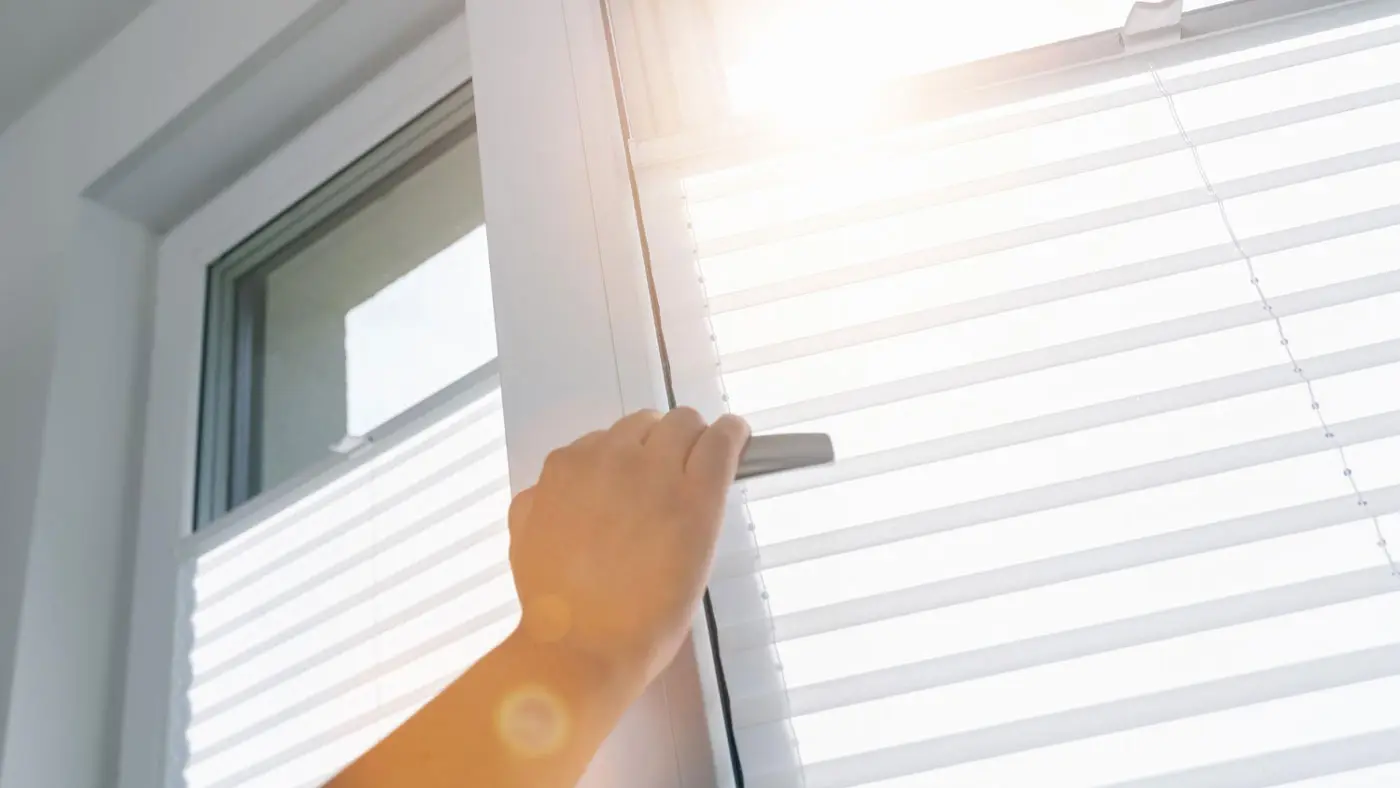 montage-service-online-vorort-lichtblick