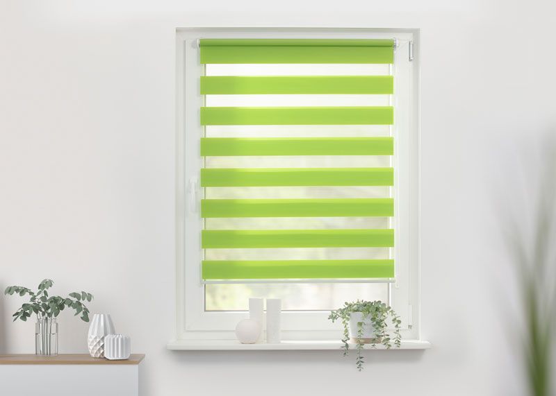 Doppelrollo in grün als Blickschutz für Fenster
