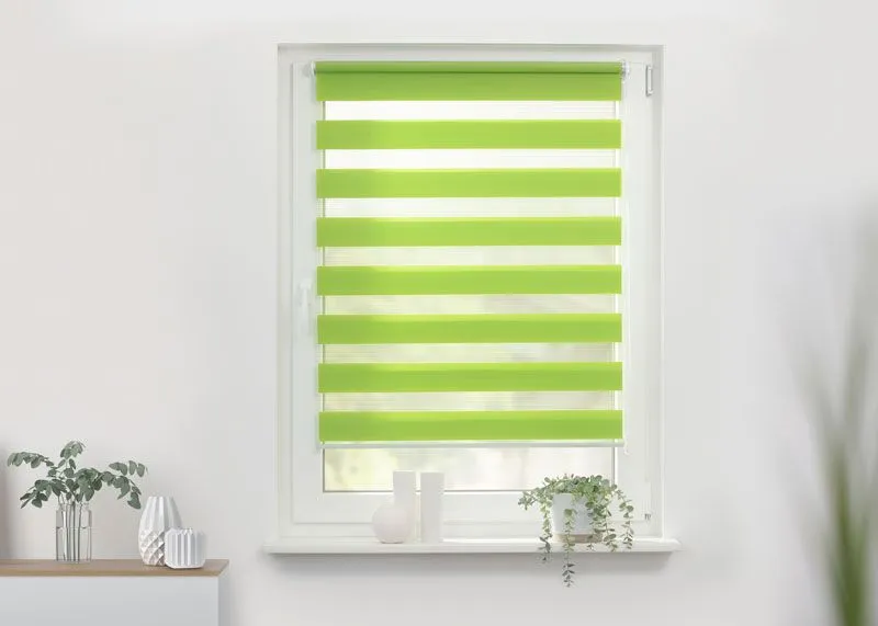 Doppelrollo in grün als Blickschutz für Fenster