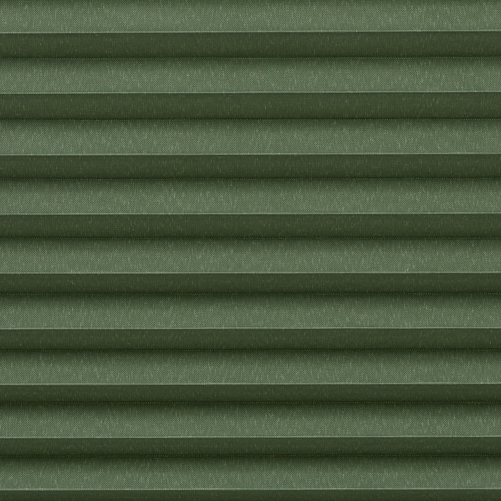 SM.3034 - olive