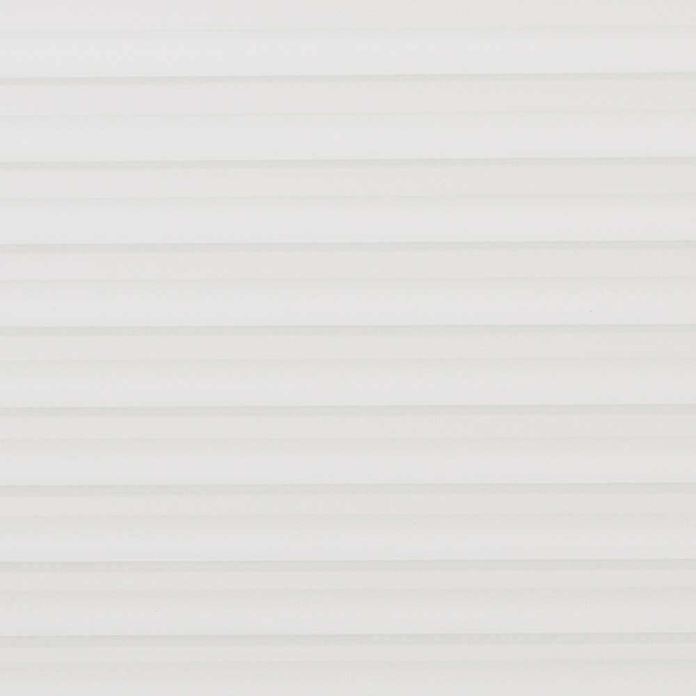 LBNM_evotex