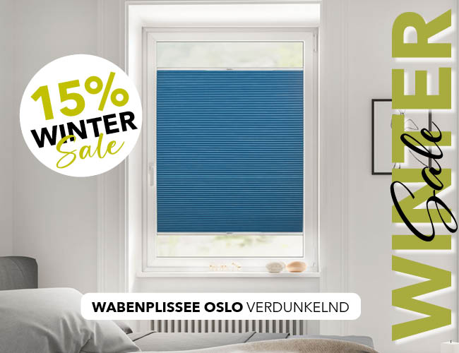 wintersale-wabenplissee-startseite-lichtblick-nach-mass