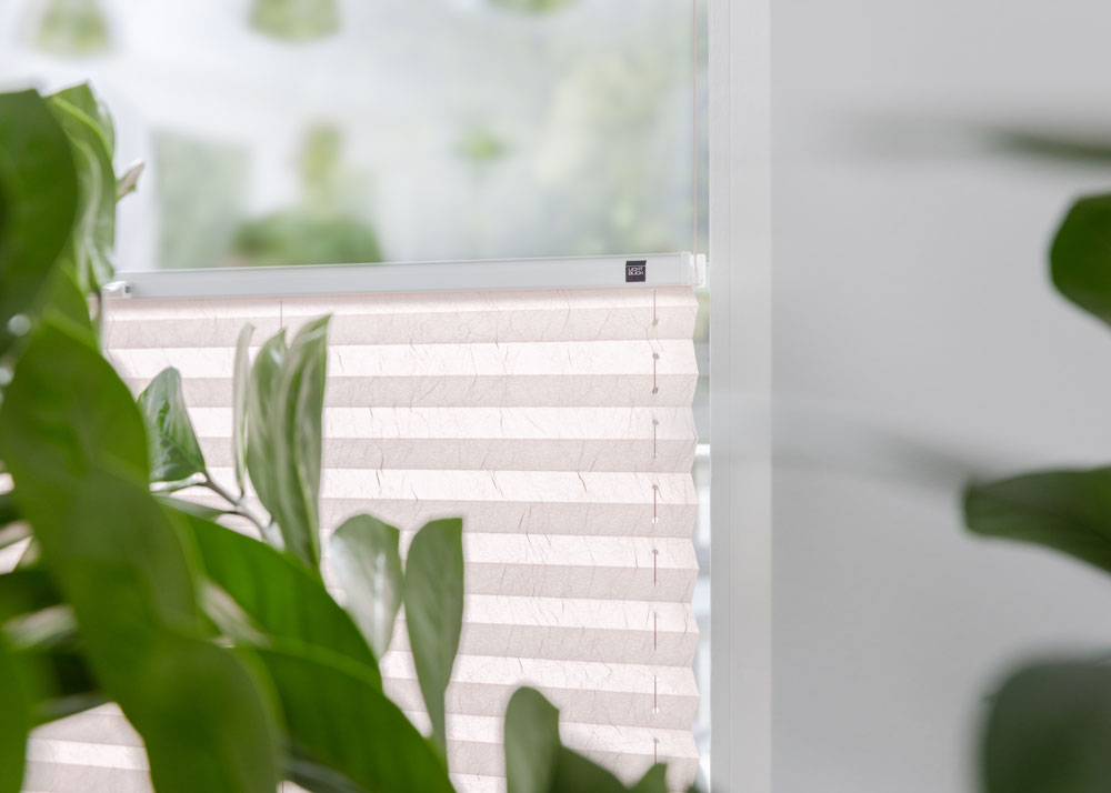 Dekoration für Zuhause, Blatt, Pflanze, Schatten am Fenster, Fensterbank